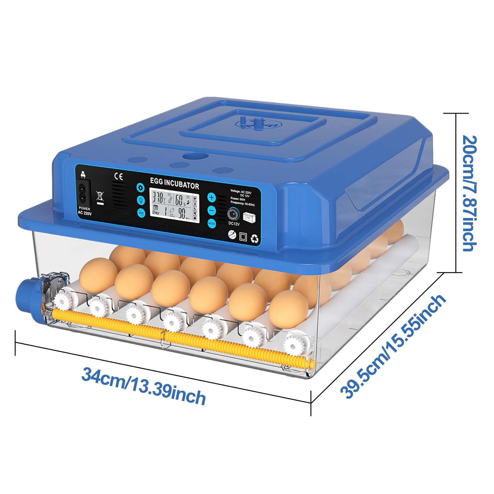 Incubadora de Huevos Automática para 36 Huevos Gallina - Control Automático deTemperatura/Humedad, Giro Automático y Fuente de Alimentación Dual, para Pato Codorniz