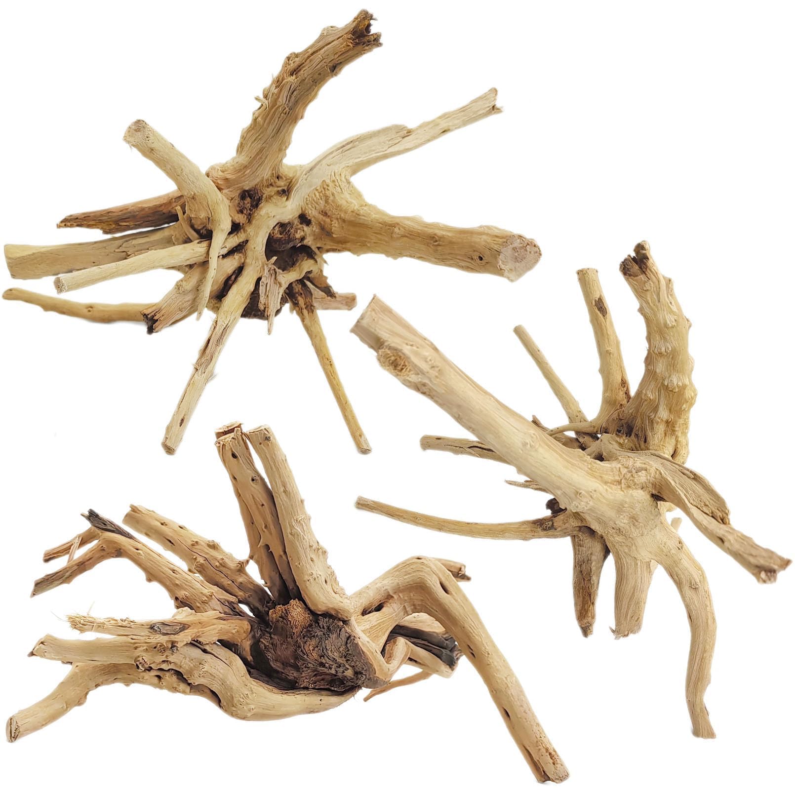 Tfwadmx Spider Wood 7-11" 3pk