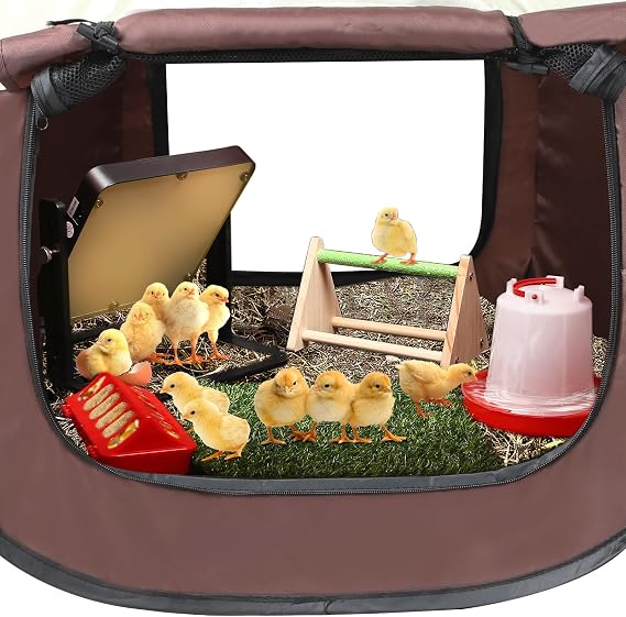 Brooder Box for Chick Starter Kit - 2026 Upgrade Dual Door Chicken Brooder Pen/Playpen/Tent with 10*10 in Brooder Heating Plate,Nesting Pad,Chicks Feeder&Waterer,Chick Perch Up to 15 Chicks,Duck
