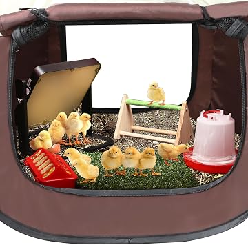 Brooder Box for Chick Starter Kit - 2026 Upgrade Dual Door Chicken Brooder Pen/Playpen/Tent with 10*10 in Brooder Heating Plate,Nesting Pad,Chicks Feeder&Waterer,Chick Perch Up to 15 Chicks,Duck
