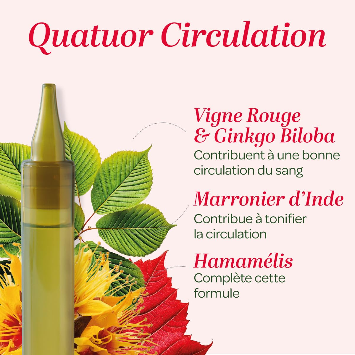 SUPERDIET-QUATUOR CIRCULATION BIO-Jambes légères-Marronnier d’inde,Hamamélis,Vigne rouge,Ginkgo biloba-Format nomade-20 Unidoses de 15 ml