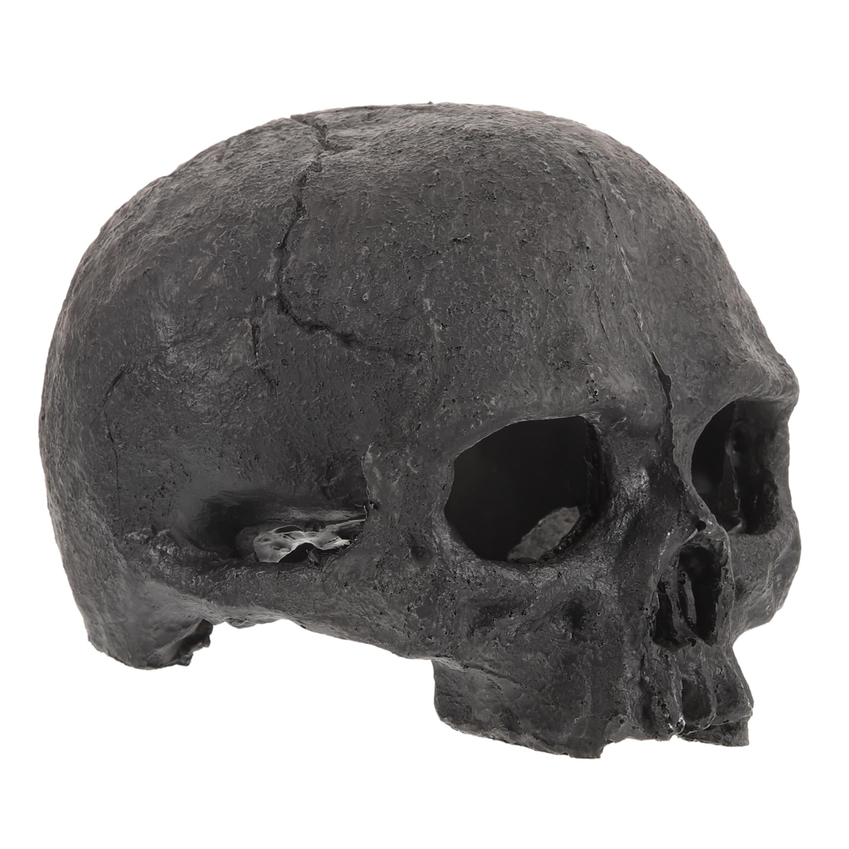 Cabilock 4 Piezas Adornos De Resina De Calavera. Ocultación Decoraciones De La Cueva del Tanque De Peces Decorativo Terrario De Piel De Reptil Decoración Esqueleto para Falso Black