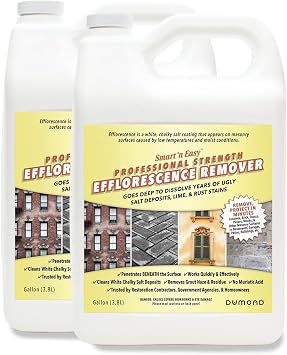 Smart 'n Easy Efflorescence Remover - Heavy Duty Professional Strength Formula - Removes The Toughest Salt, Calcium, and Magnesium Deposits from Concrete, Brick, Stucco, Pavers, More - 2 Gallons