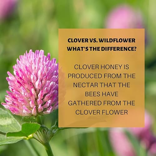 Miniatura 7 de AR's Southern Honey - Miel 100% pura y cruda de trébol de Estados Unidos, totalmente natural, sin aditivos, sin conservantes, sin extractos -