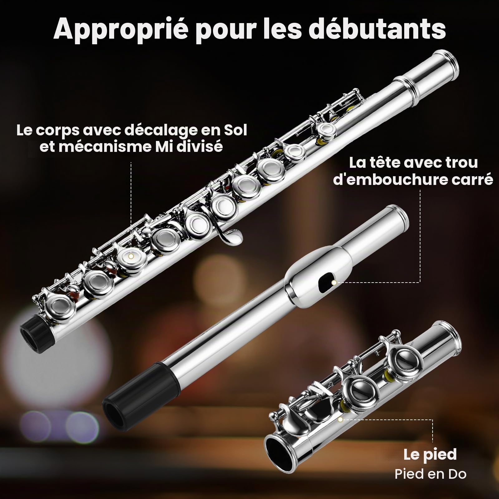 Asmuse Flûte Traversière Ensemble Argent-Nickel Plaqué(e)16 Trous C Key Flûte Instrument de Musique avec Etui de Transport, Chiffon et Gants Propres pour Débutants
