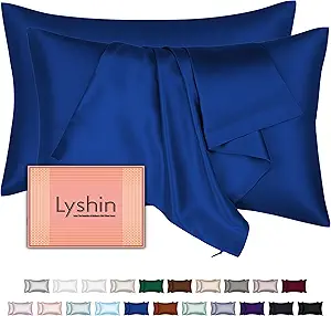 Mulberry Silk Pillow Cases 2 Pack Queen Size 20x30 Inches with Hidden Zipper, Ultra Smooth and Soft Breathable Cooling Silk Satin Pillowcase Set of 2, Better for Hair and Skin, Gifts for Women Men