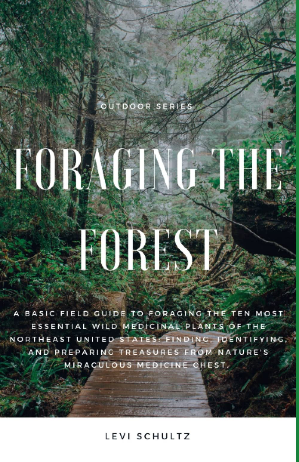 Foraging the Forest: A Basic Field Guide to Foraging the 10 Most Essential Medicinal Plants of the Northeast US: Finding, Identifying, and Preparing Treasures from Nature's Miraculous Medicine Chest.