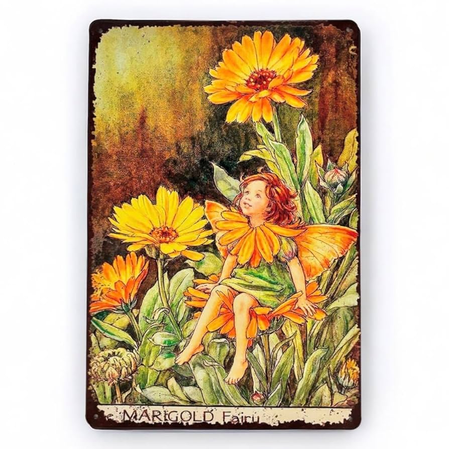 【美品】絵画　クリープ　ゴールデンハート　シリアルナンバーあり　木製額付き Amazon.co.jp: シシリーメアリーバーカー フラワーフェアリーズ