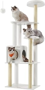 Pet Supplies