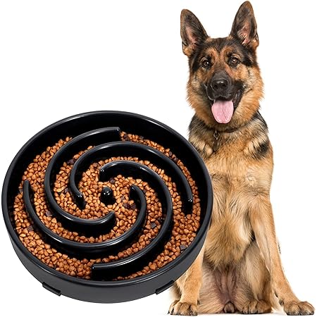 labyrinth dog bowl