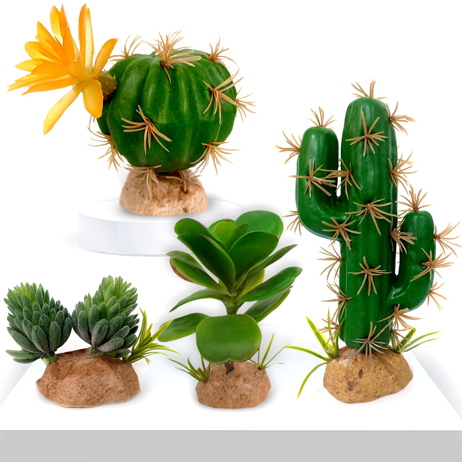 Fake Reptile Plants, Desert Reptile Plants Succulent kit, Reptile Terrarium Decorative, 4 Pcs, Faux Cactus Plants for Bearded Dragon Tank Decor, Cactus Terrarium Decor