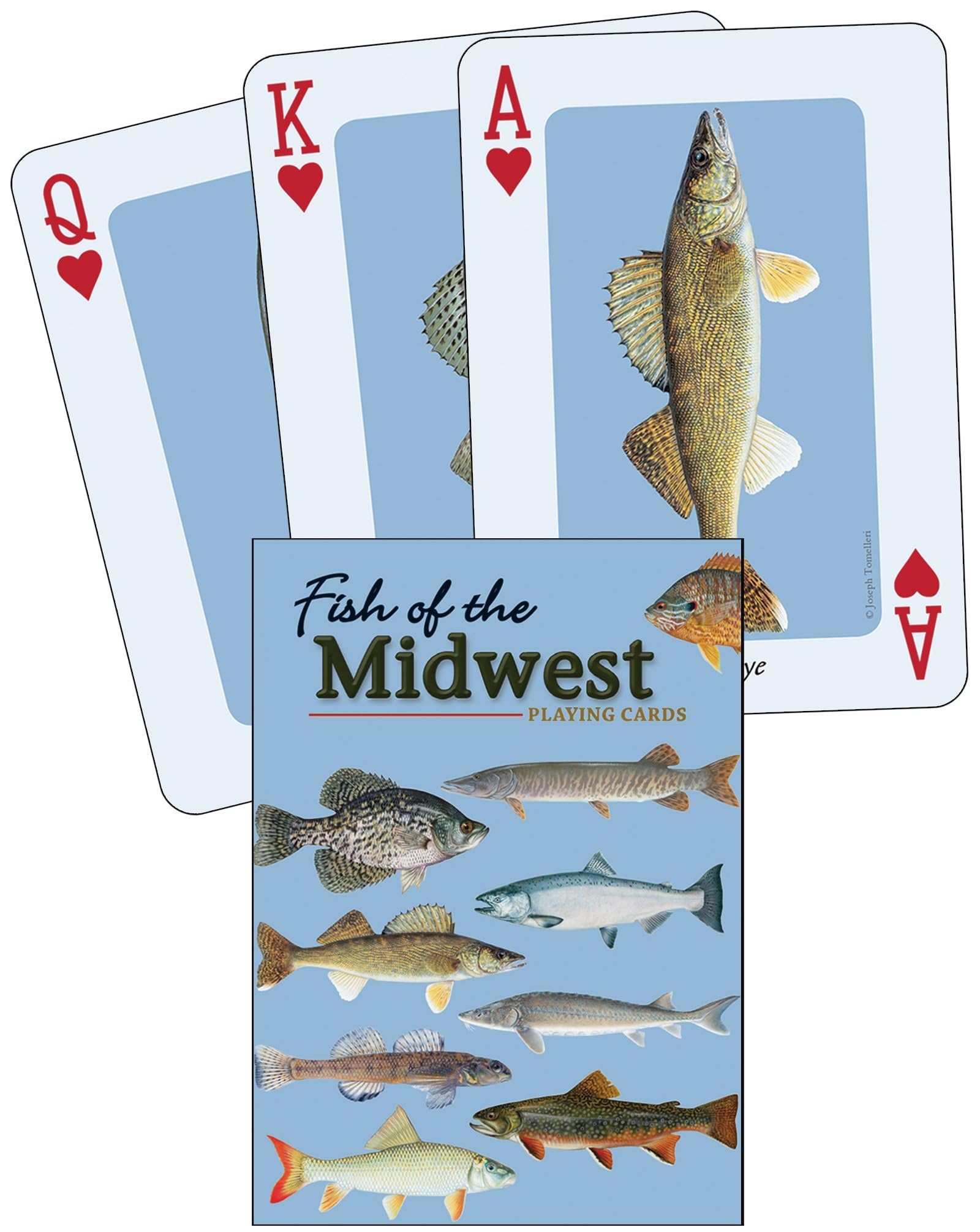 Fish of the Midwest Playing Cards (Nature's Wild Cards)