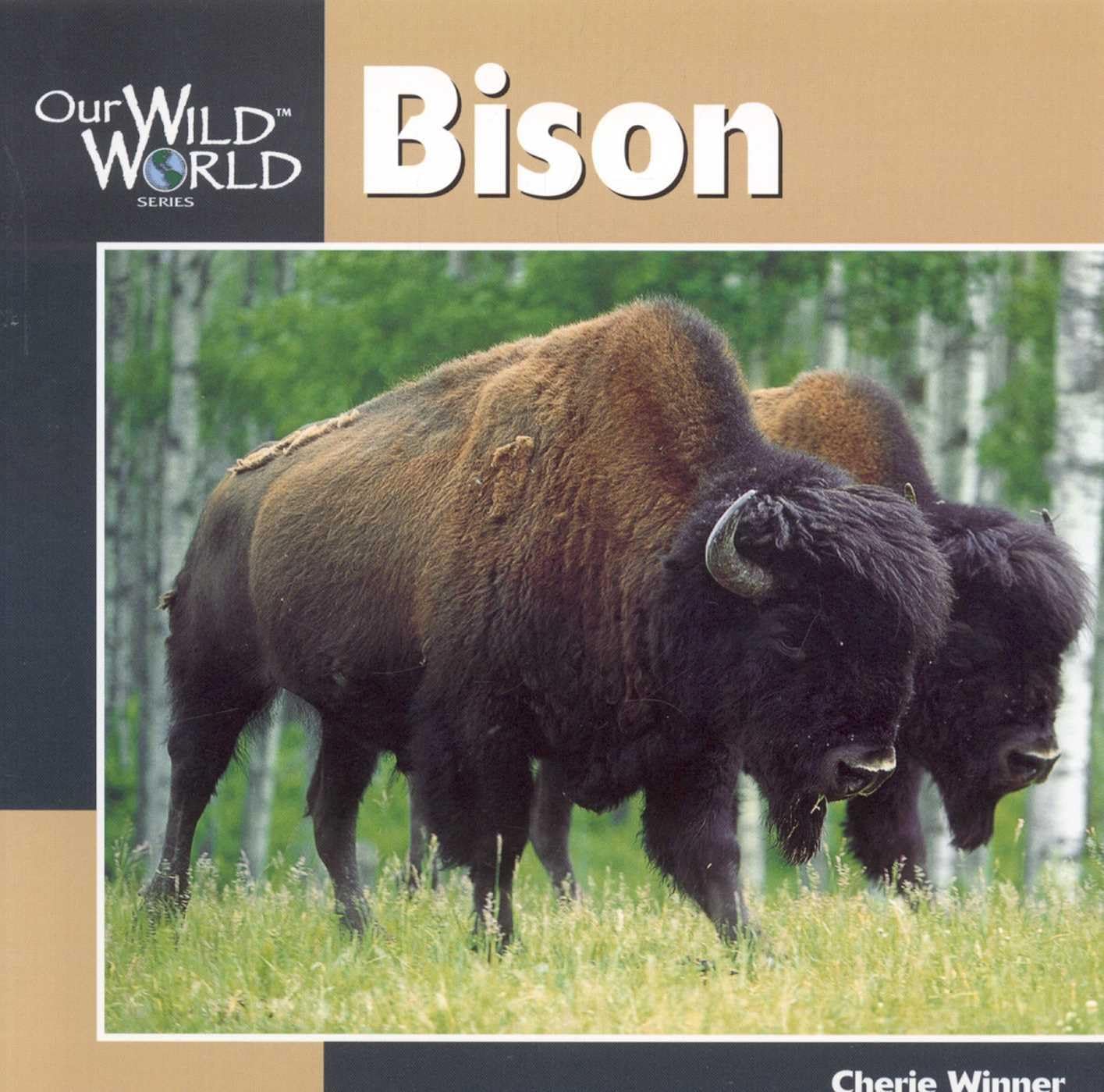 Bison (Our Wild World) Paperback – March 1, 2001