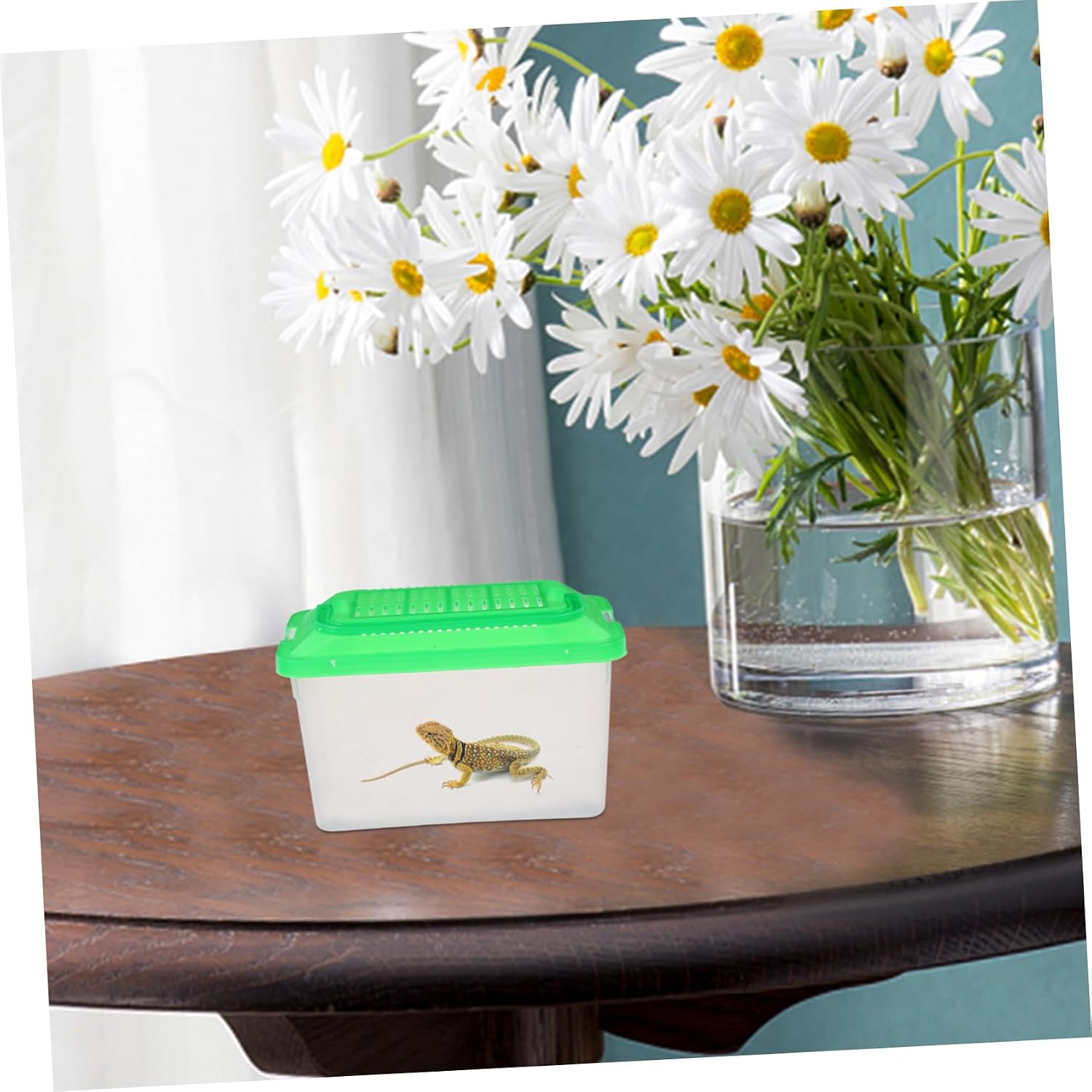 WOONEKY Portable Plastic Aquarium Transport Container for Turtles and Small Pets Lightweight Handheld Fish Tank with Excellent Visibility Ventilated Design for Easy Maintenance and Travel image 2