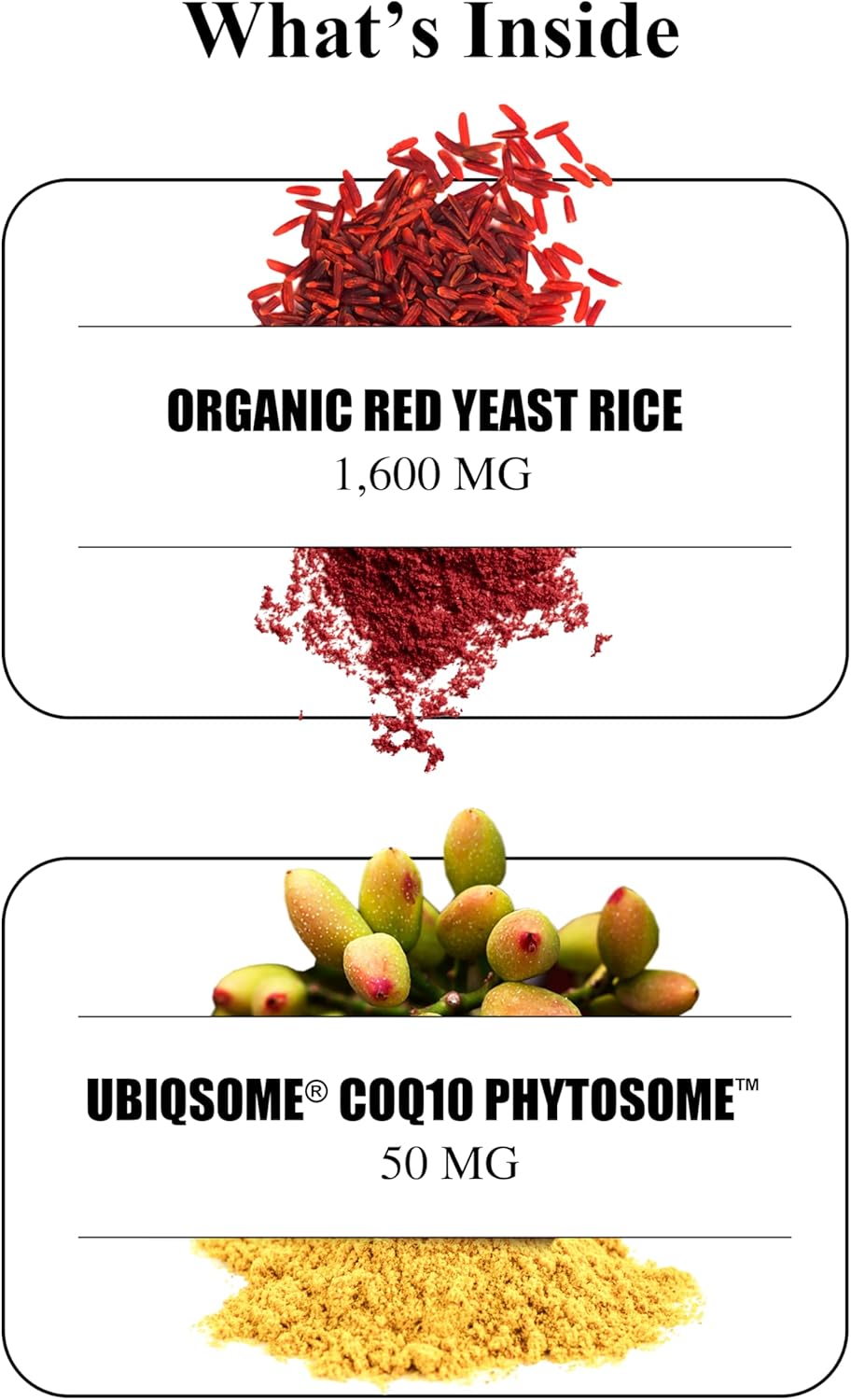 Durable RED Yeast Rice – Organic 1,600 mg Extra Strength + CoQ10 Phytosome – Supports Healthy Cholesterol, Heart, Lipids & Circulation – Doctor Formulated, Non-GMO, Vegan, Made in USA (60 Capsules). - Image 4