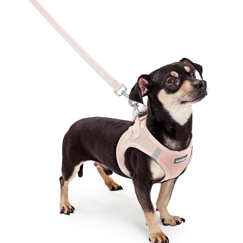 Peitoral Vest para Cães Extra Pequenos com Guia Ajustável rabbitgoo Pink XXXS