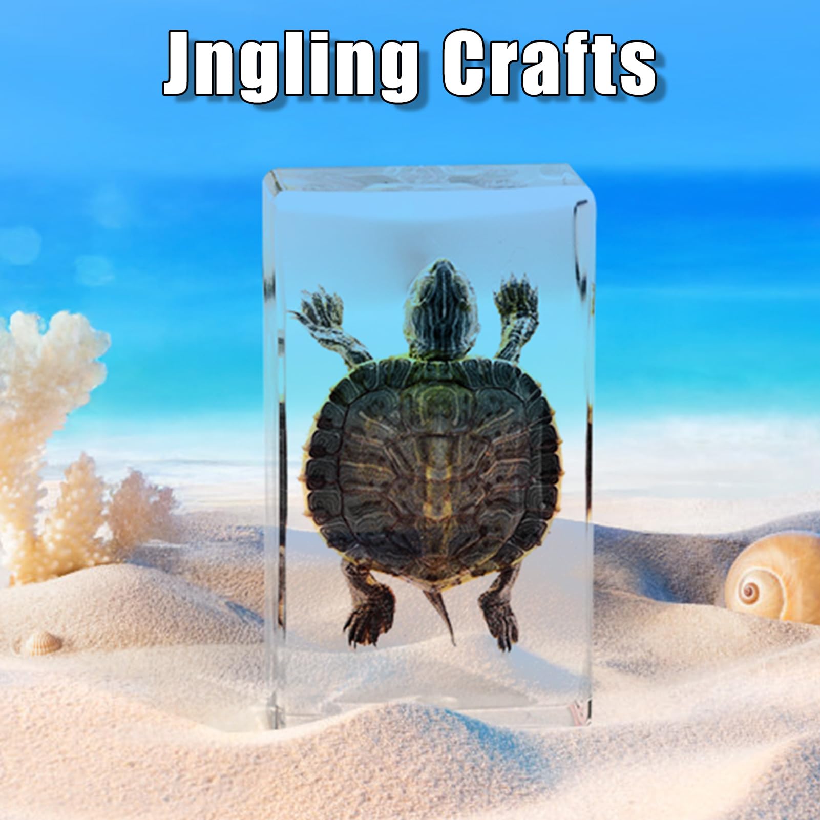 Taxidermy Turtle, Real Taxidermy Turtle in Resin, Real Turtle Specimens in Resin Paperweight Crafts for Specimen Collector, Ocean Lover, Family or Friends, 2.87 x 1.61 x 0.78 inch (A-1PCS)