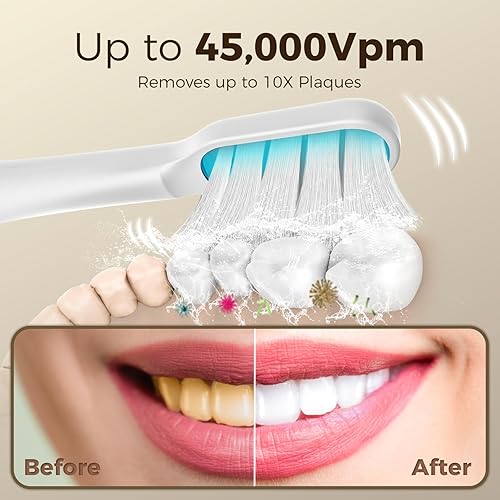 Miniatura 4 de ARPHA Cepillo de dientes eléctrico para adultos, ultrasónico, funciona con pilas, blanco, 3 modos, limpieza profunda, carga inalámbrica, IPX7