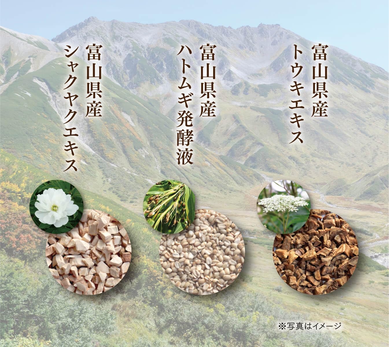 Amazon | 【医薬部外品】キミエリンクルホワイトプレミアム 1箱(35g