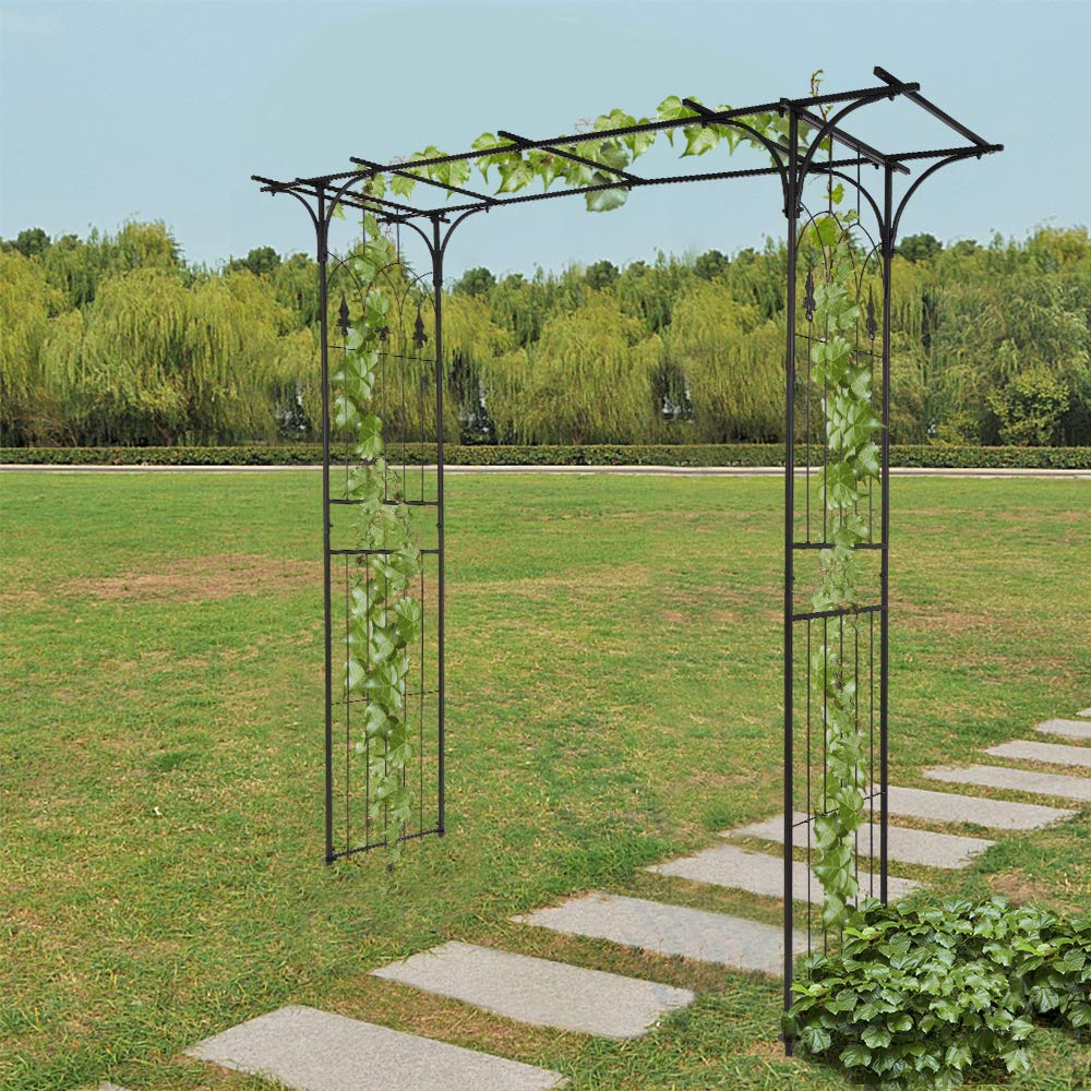 LEADZM Arche en Fer forgé Arche de Cour Arche de Jardin adaptée aux Plantes grimpantes Arrangement de Mariage de pelouse