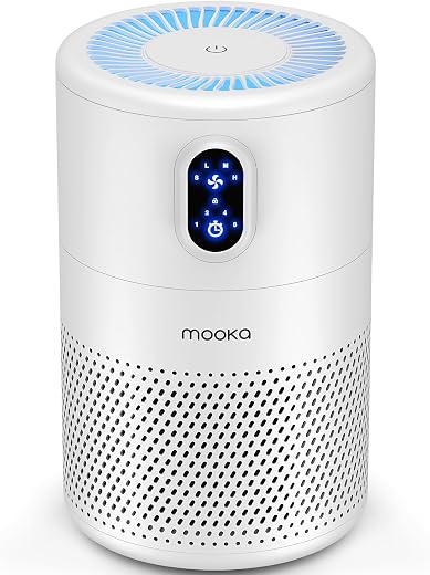 Charcoal Air Purifiers