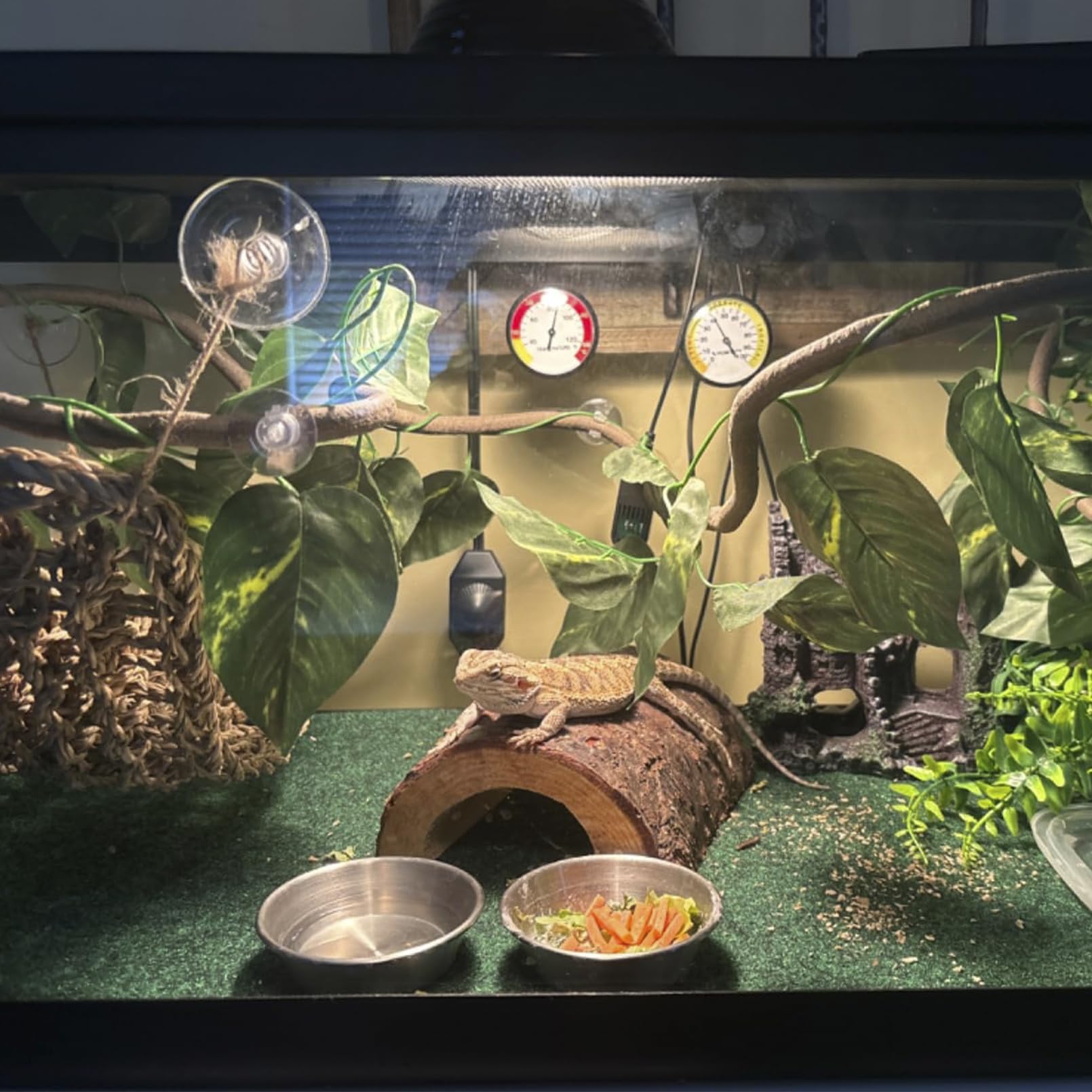 Jumping Spider Enclosure Bearded Dragon Tank Accessories,Reptile