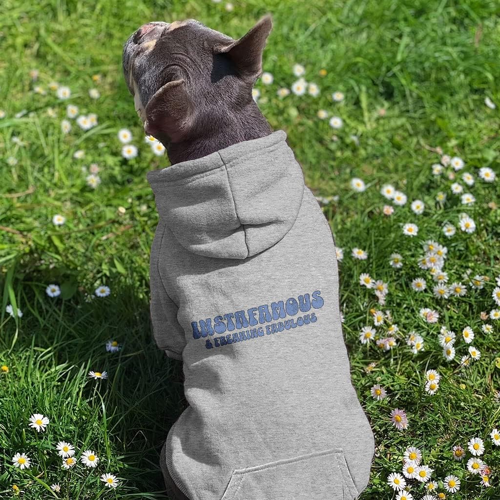 Instafamous Dog Hoodie with Pocket - Freaking Fabulous - Quote Design - Black, XL
