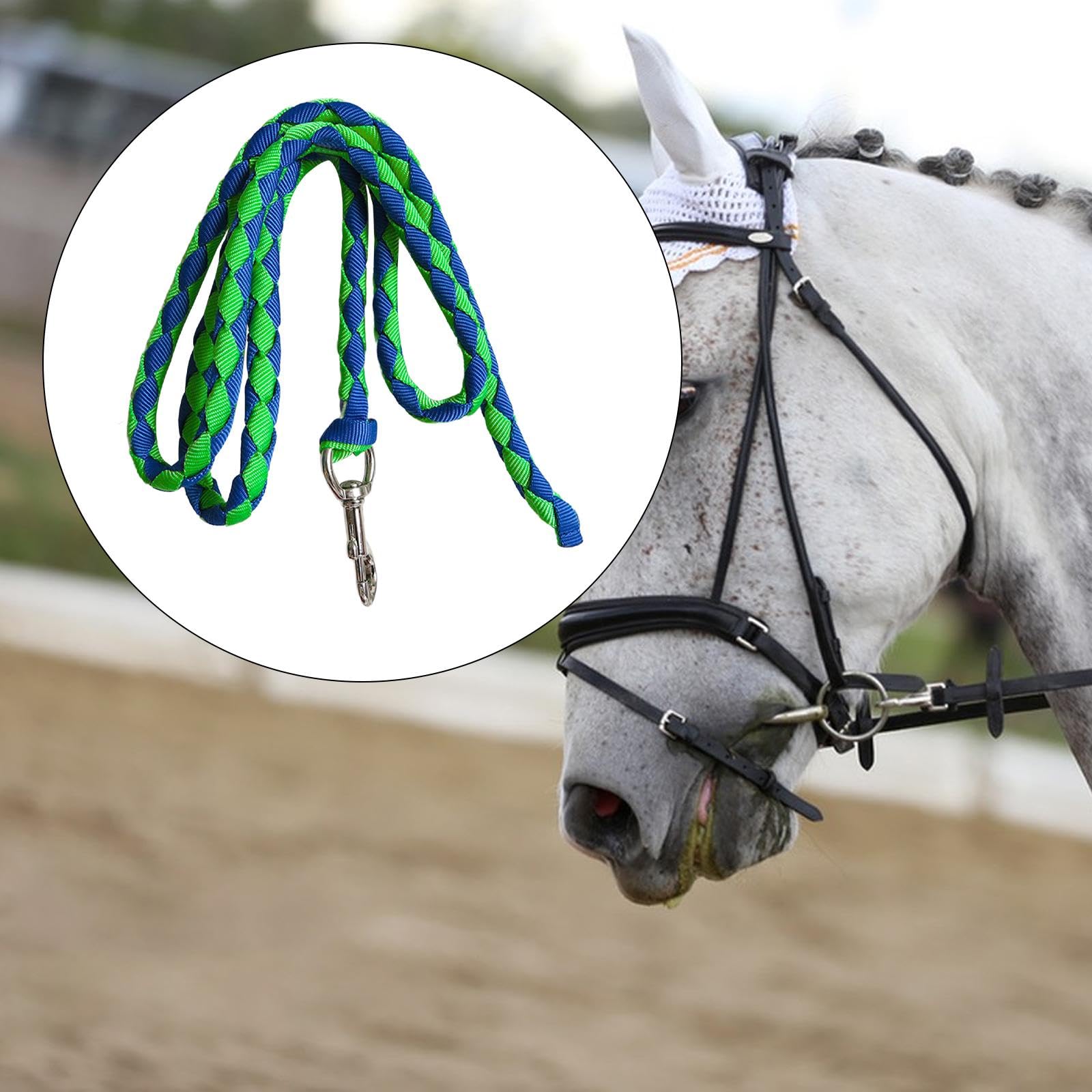 Corda per Cavallo con Attacco a Clip Sicuro, 2.5 m Verde e Blu