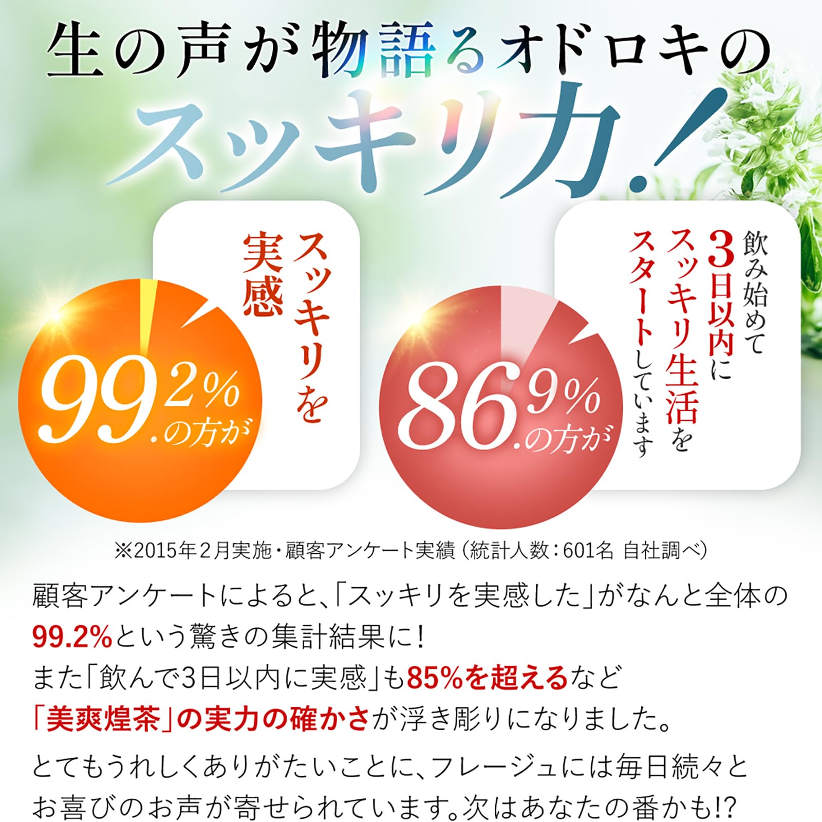 Amazon | 【公式】美爽煌茶 30包 1ヵ月分 ティーバッグ アップルティー