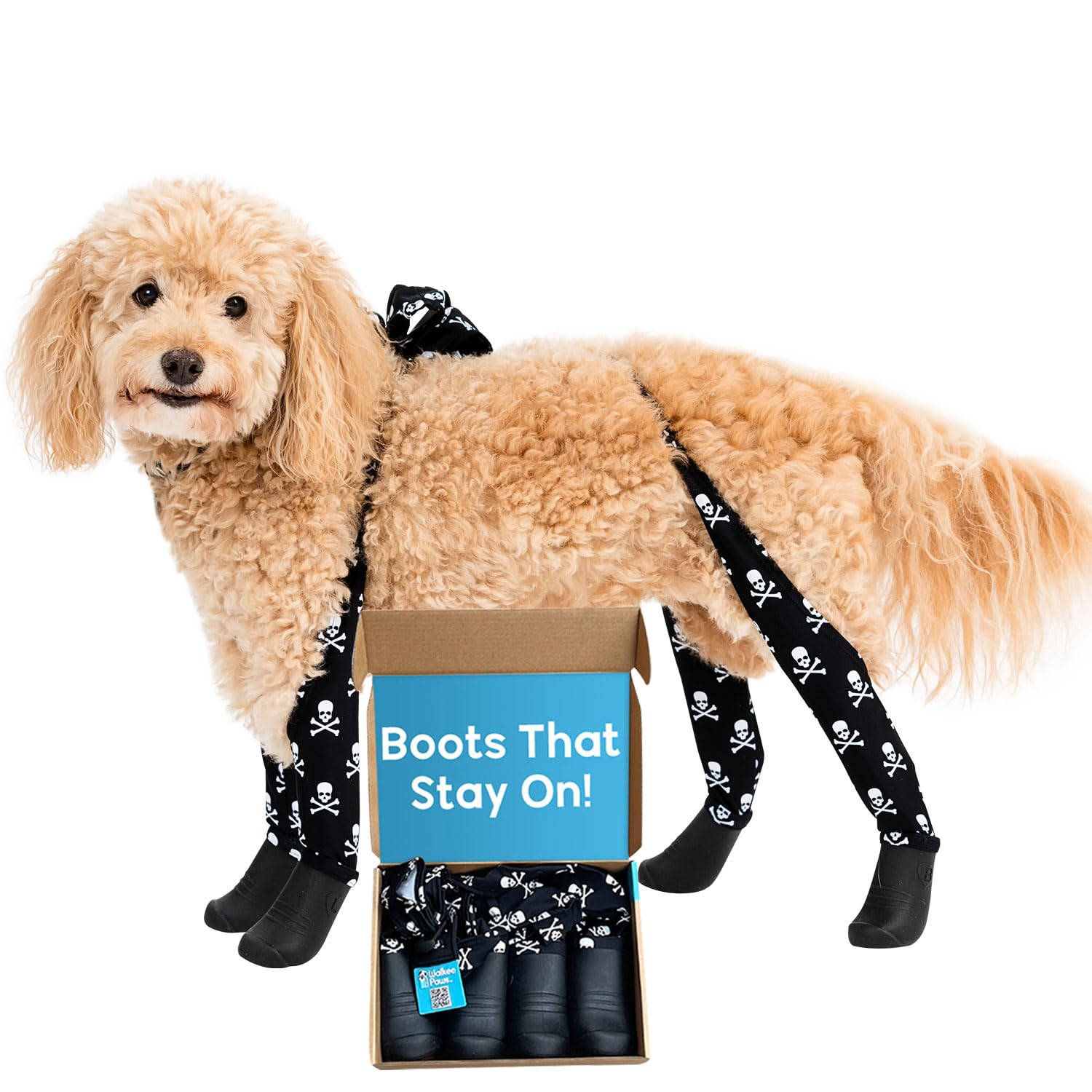 Amazon.com : Walkee Paws Clearance Deluxe Easy-On, Dog Suspender 