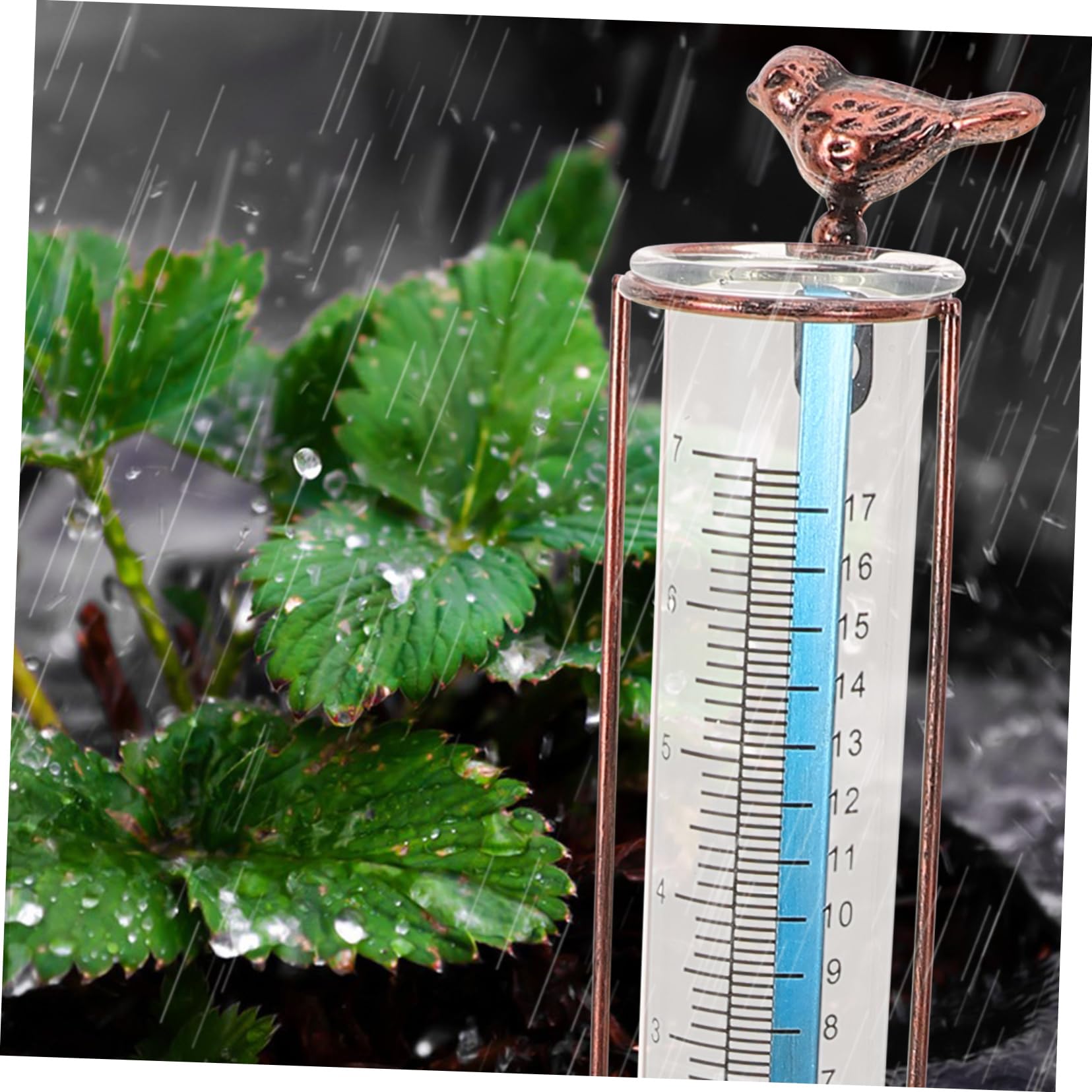 GLEAVI 5pezzi Misuratore Di Pioggia Con Tubo Graduato Per Esterni Sostituzione Tubo Per Pluviometro Design Elegante e Resistente Per Giardino e Cortile