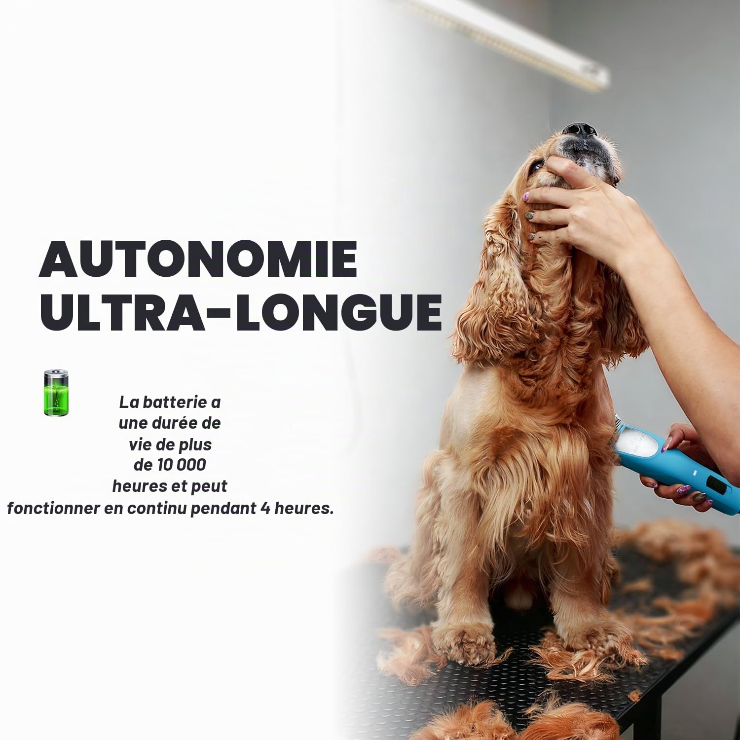 Tondeuse professionnelle pour chien pour toilettage, kit de toilettage pour animaux de compagnie pour manteaux épais et lourds à faible bruit, lame en acier inoxydable avec moteur sans balais