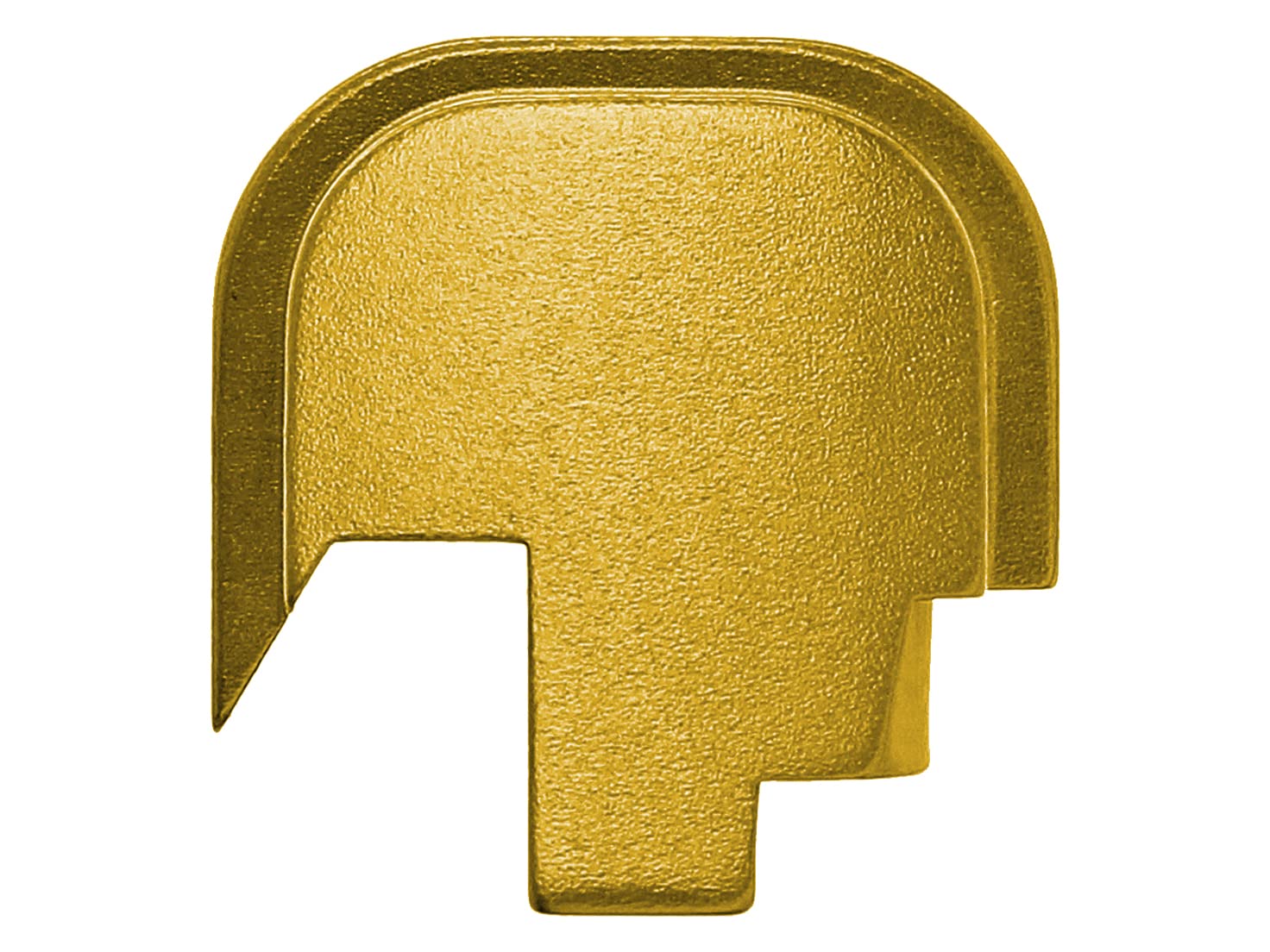 Amazon.com: NDZ Performance Slide Cover Back Plate for Smith