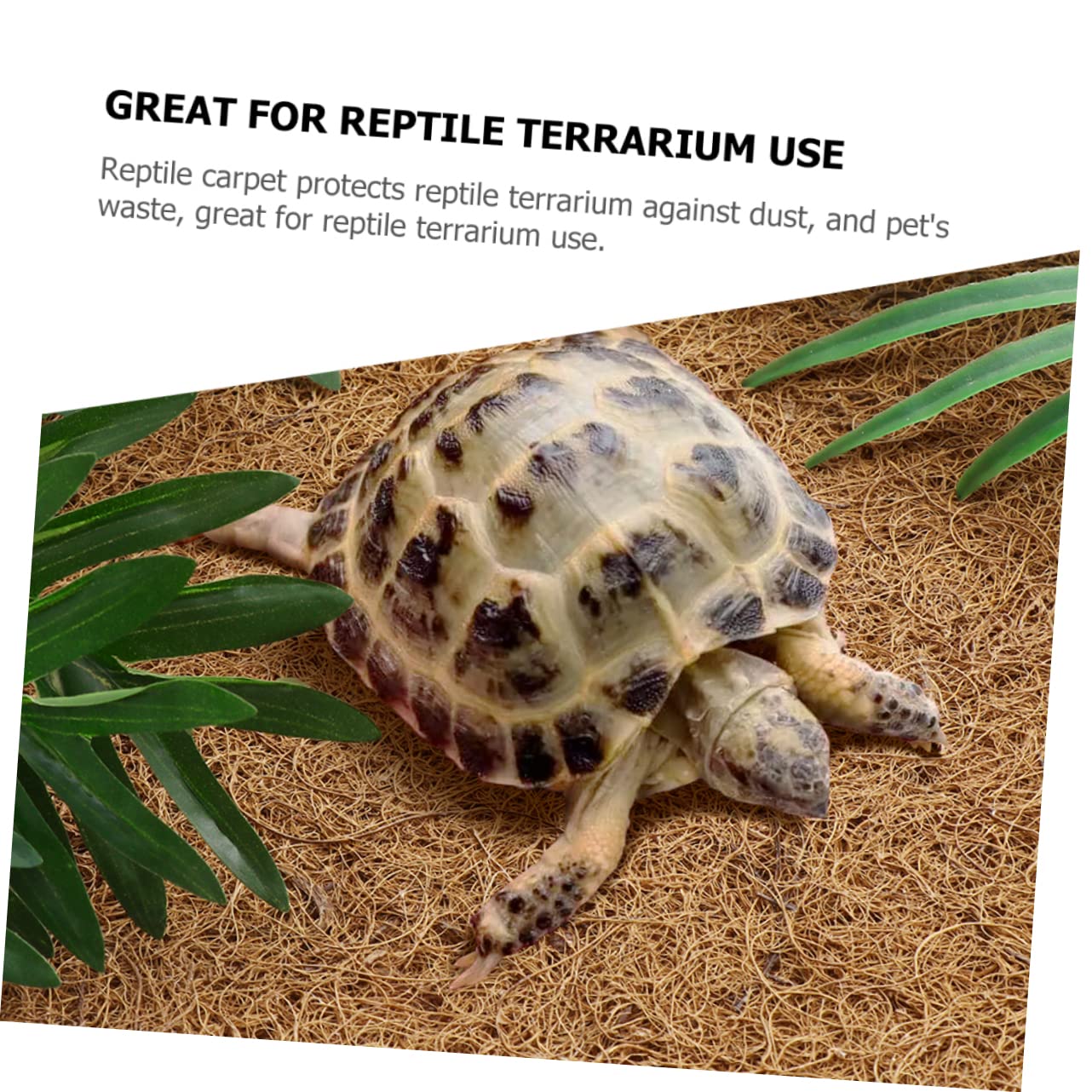 POPETPOP Alfombra en Contenedores Transparentes para Terrario de Reptiles de Fibra Natural Estera para Tortugas y Reptiles y Fácil Limpieza Recogida de Desechos