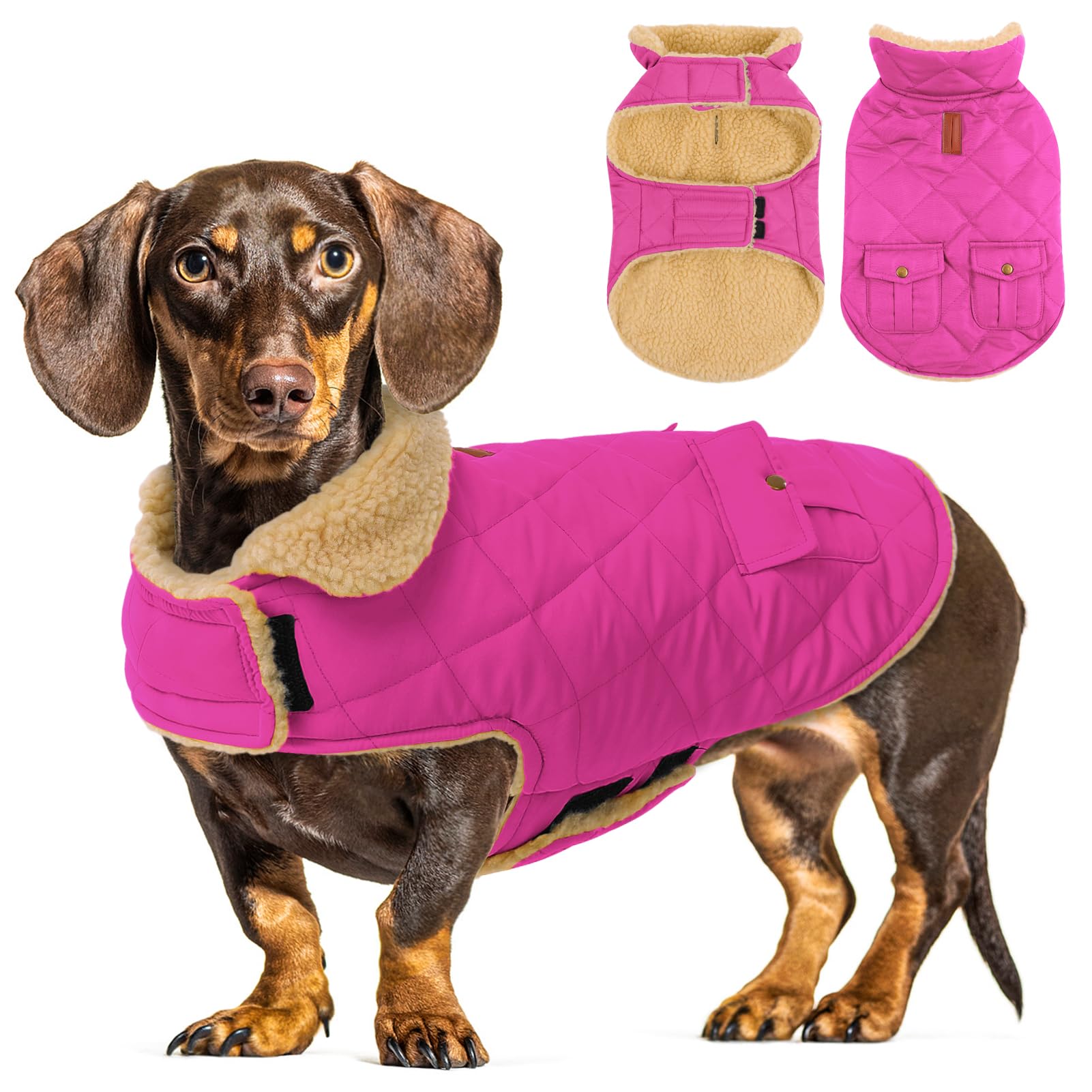 CITÉTOILE Dog Winter Coat Windproof Dog Jacket Pink XL
