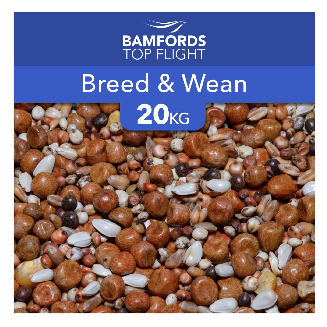Breed and Wean Pigeon Food 20kg