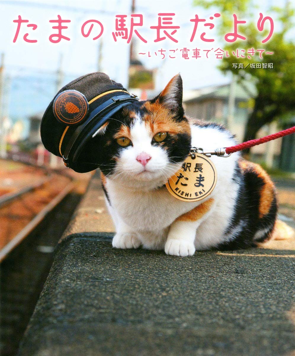 いちご電車 たま駅長 置物 陶器 レア 冬服 招き猫 三毛猫 リアル いちご電車 たま駅長 置物 陶器 レア 冬服 招き猫 三毛猫 リアル
