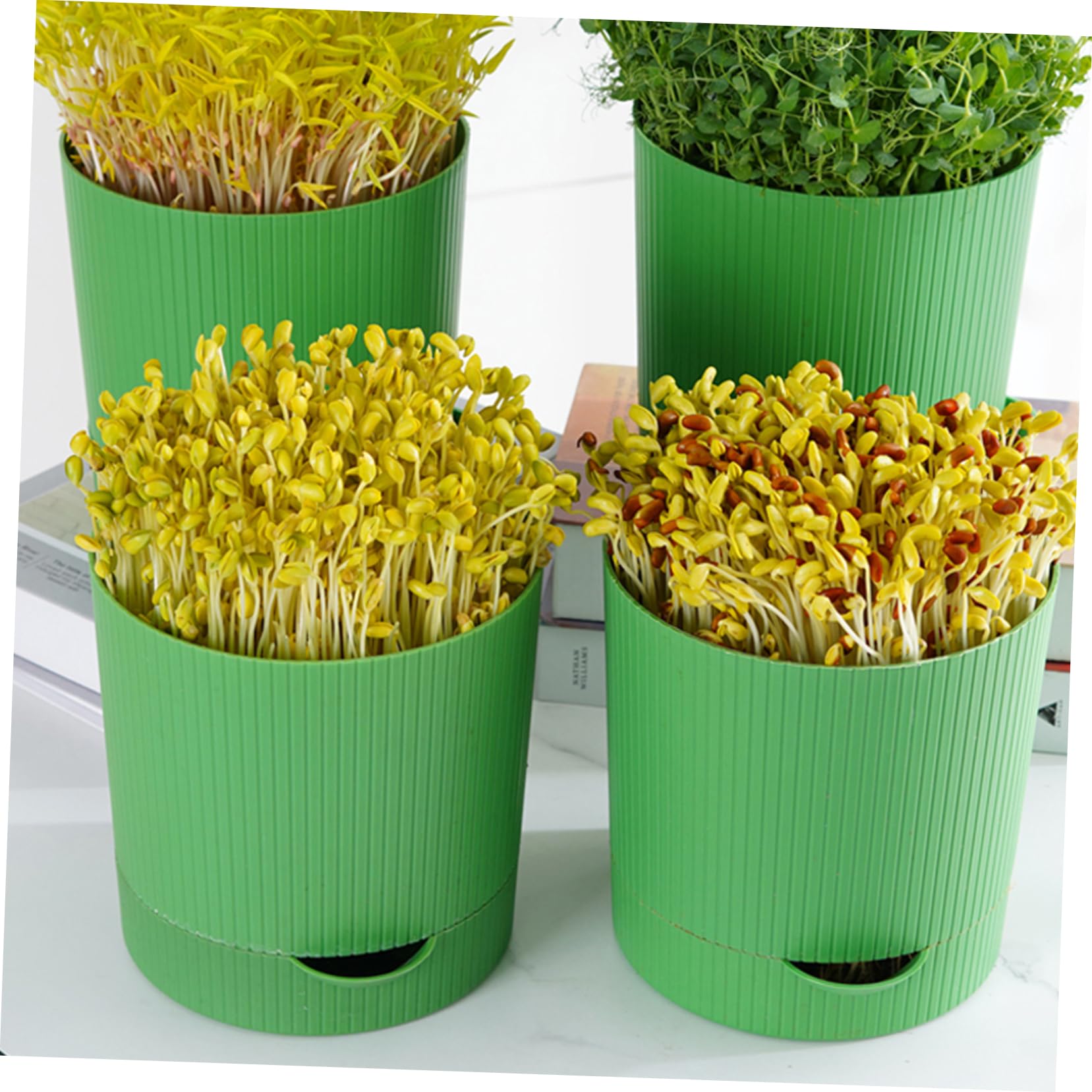 Toddmomy Kit de Frasco de Germinación para Brotes de Soja Verde, 1 Juego | Pp y Piedra, Diseño Transpirable Salida de Agua, para Frijoles Rojos y Mungo