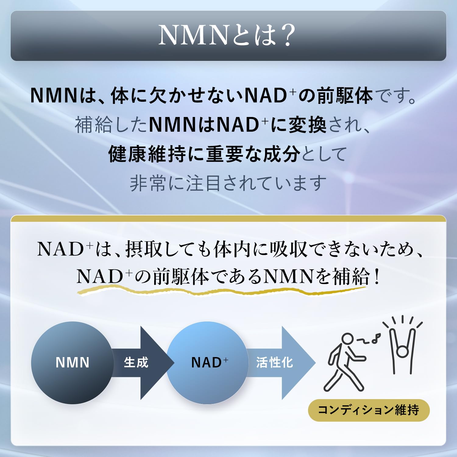Amazon | SINTO シントー リポソーム NMN 350mg配合 サプリメント 30日 