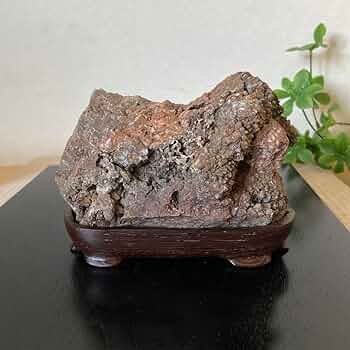 Amazon.co.jp: 根尾桜石の自然石 鑑賞石 菊花石 桜石 水石 盆石