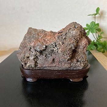 Amazon.co.jp: 根尾桜石の自然石 鑑賞石 菊花石 桜石 水石 盆石 Amazon.co.jp: 根尾桜石の自然石 鑑賞石 菊花石 桜石 水石 盆石