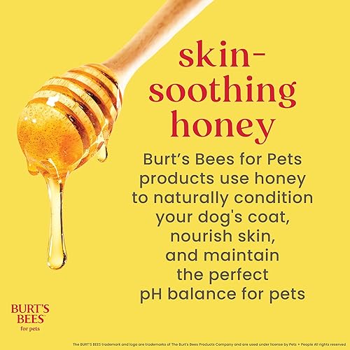 Miniatura 4 de Burt's Bees for Pets Champú y acondicionador de vainilla de coco - Champú y acondicionador para perros 2 en 1 con 98.2% de ingredientes derivados