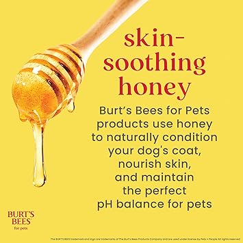 Burts Bees for Pets Tear Free Puppy Shampoo & Conditioner with Buttermilk, 2 in 1 Gentle Dog Shampoo for Puppies, Cleans and Conditions Sensitive Skin, 16 Fl Oz