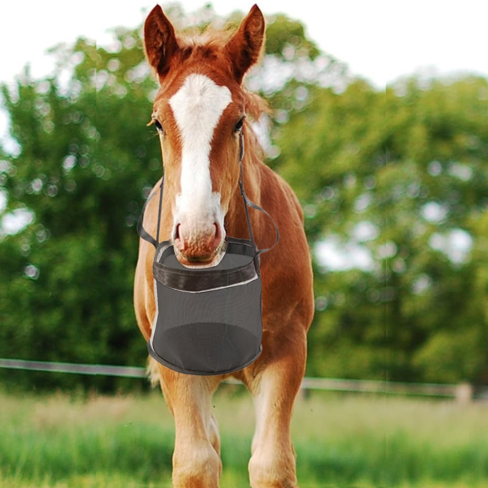 Sacos de pienso, bolsa de alimentación ajustable para bolsas de comida duradera para caballos con correas ajustables, cómodo cojín para el cuello y almohadilla nasal, 3 tamaños
