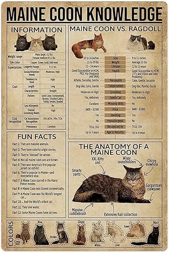 Maine Coon Knowledge - Letreros de metal de hojalata de Maine Coon, carteles de infografía para enciclopedia de gatos, placas de guía para la