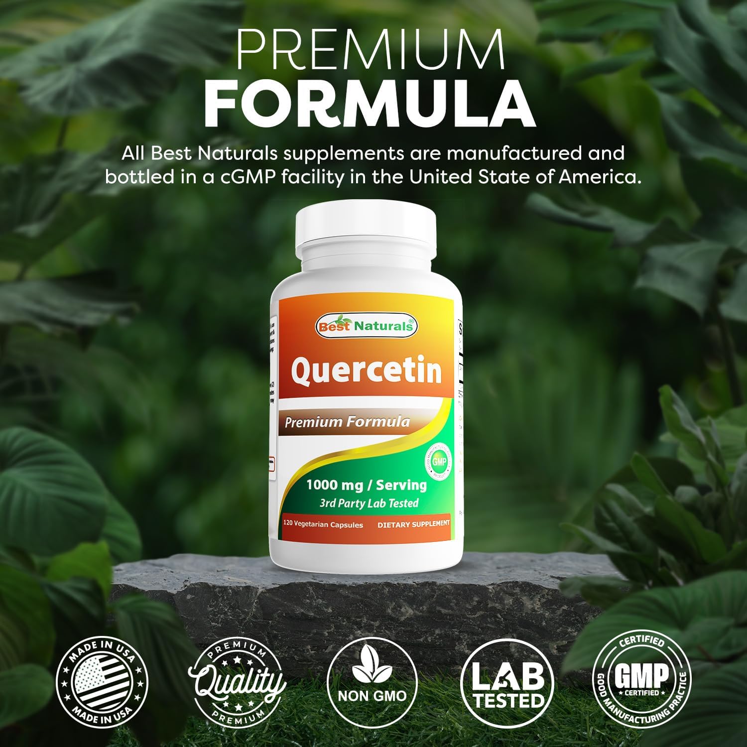Best Naturals Quercetin 1000 mg/Serving 120 Veggie Capsules (120 Count (Pack of 2))