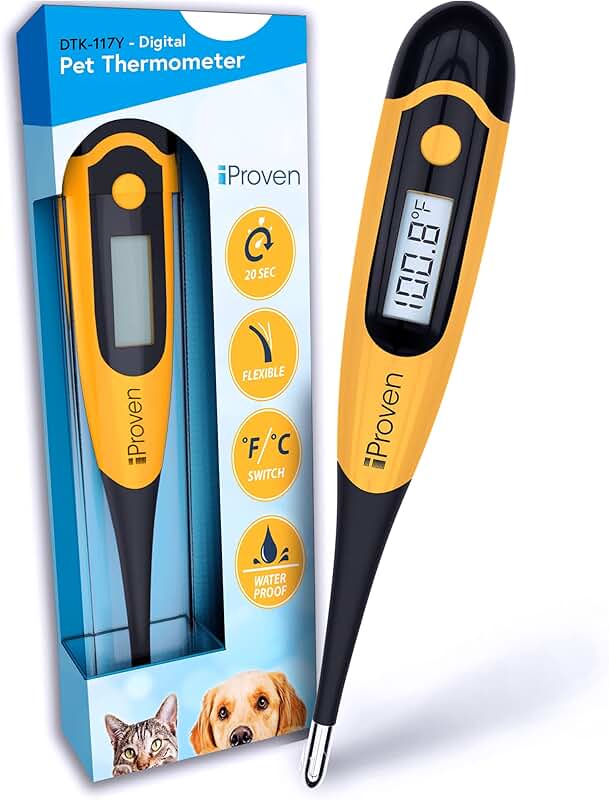 dog rectal thermometer