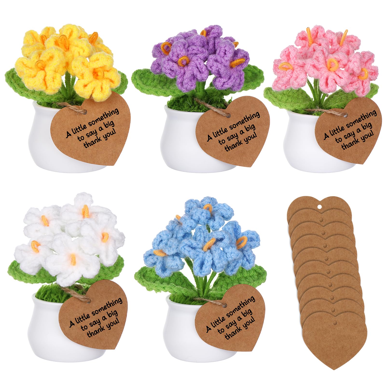 5 Pack Handmade Crochet Forget-Me-Not Flowers - Artificial Potted Plants with Thank You Tags, Mini Knitted Floral Decor for Desk Home Office, Gift for Mum Teachers Women Birthday Appreciation