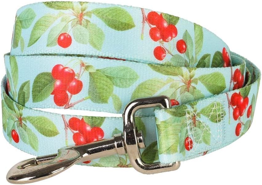 Blueberry Pet Durable The Cherry Garden Turquoise Designer Dog Leash 5 ft x 3/4", Medium, Leashes for Dogs