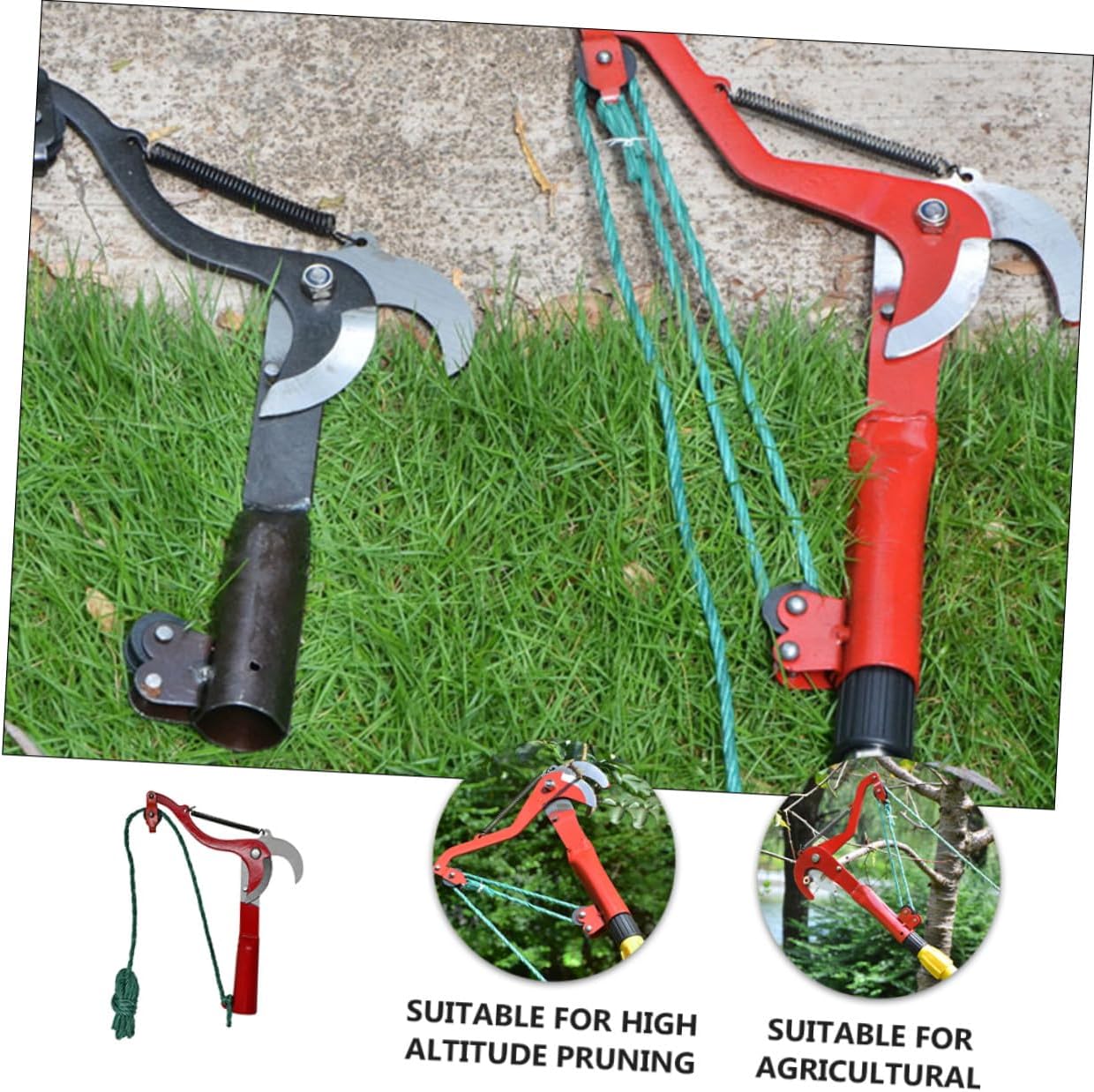 Fruit Tree Pruner with Rope for Branch Trimming and Harvesting